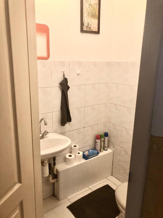 Large Apartment With Garage And Terrace บูดาเปสต์ ภายนอก รูปภาพ